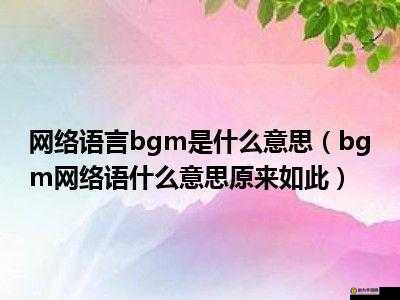 多毛 bgmbgmbgm 胖在线无法访问：探究背后的原因